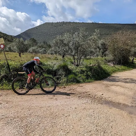 ベッド・アンド・ブレックファスト Casa Boho - 4*