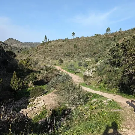 ベッド・アンド・ブレックファスト Casa Boho -