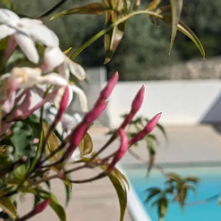 Casa Boho - Turismo Rural Bed & Breakfast