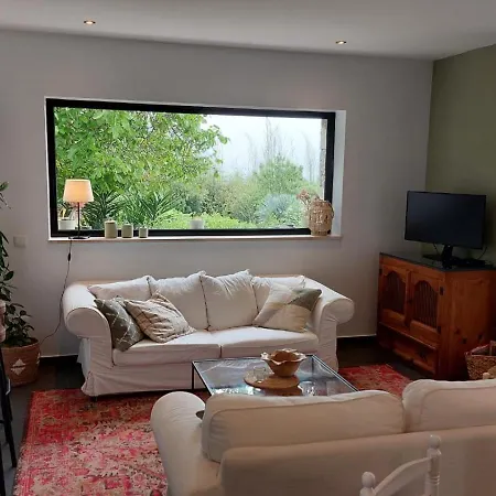 ベッド・アンド・ブレックファスト Casa Boho - アルヴァドス