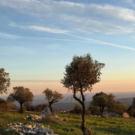 Casa Boho - לינה וארוחת בוקר