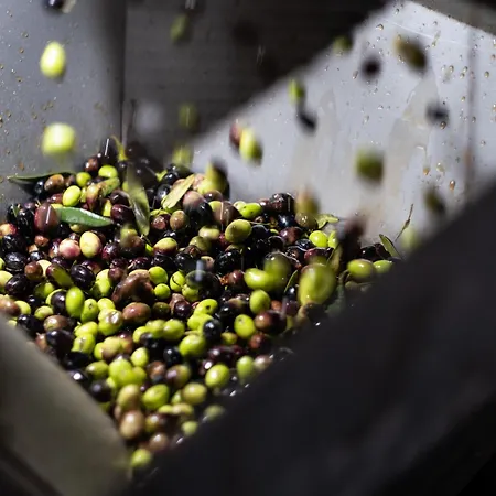 Casa Boho - 4* אלבדוס