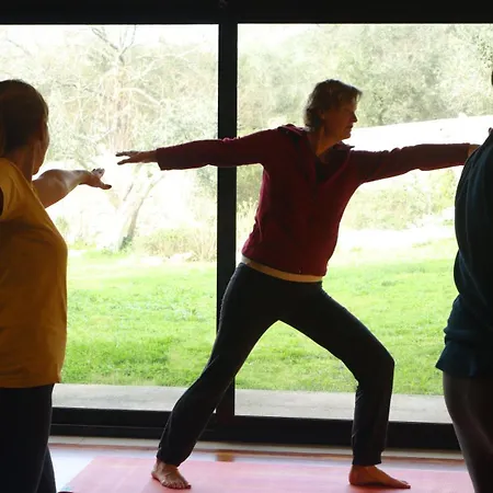 Bed & Breakfast Casa Boho - 4*