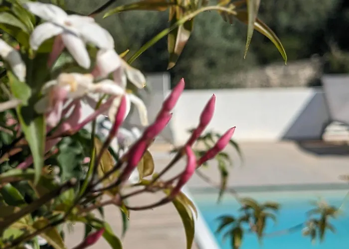 Casa Boho - Bed & Breakfast