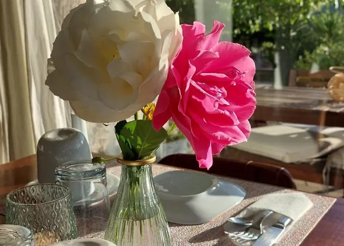 Bed & Breakfast Casa Boho - Alvados