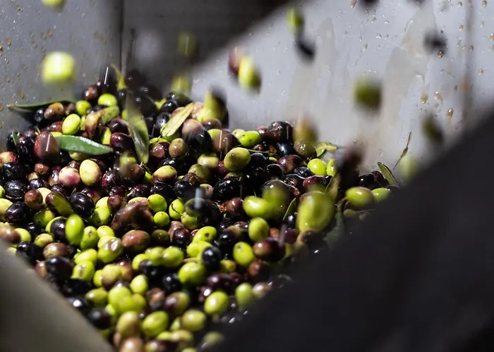 Casa Boho - 4* アルヴァドス